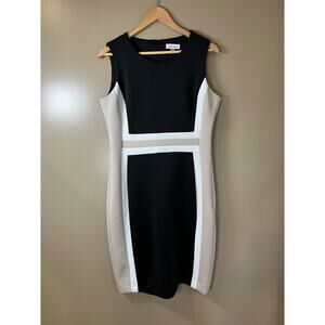 Quiet Luxury. Calvin Klein Colorblock Sleeveless Scuba Sheath Dress Sz 12